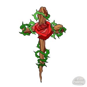 Meet your Posher, Liz